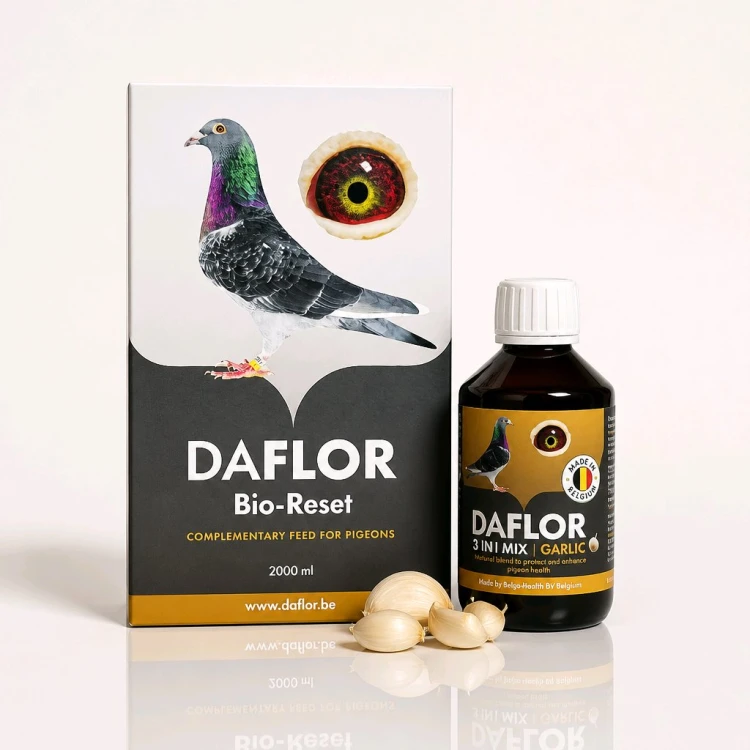 zestaw-daflor-3in1-mix-250ml-garlic-i-bioreset-2000ml.jpg